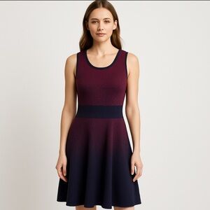 Ann Taylor Sleeveless Knit Gradient Fit & Flare Dress Size L